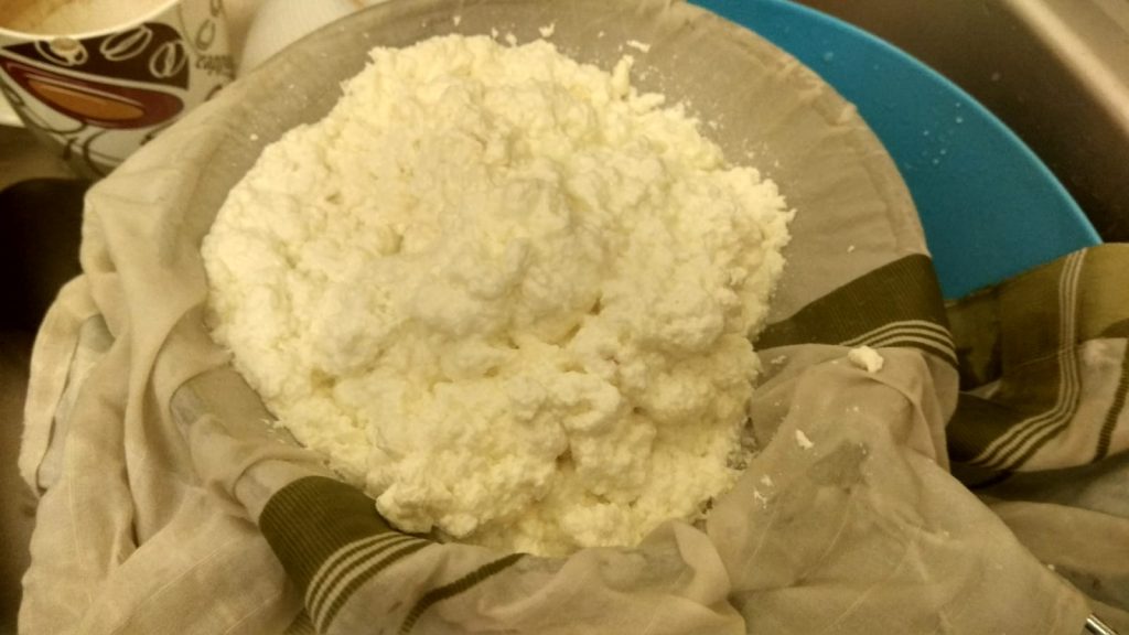 chum_chum - WhatsApp-Image-2018-11-29-at-10.46.28-PM-2.jpeg