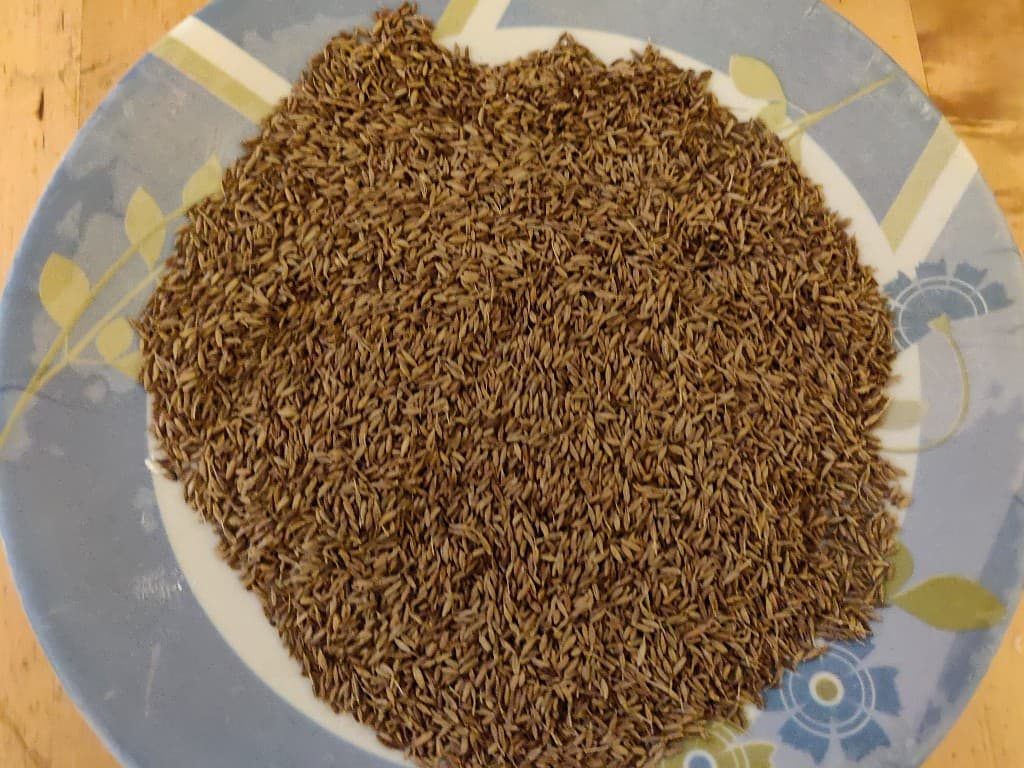 Cumin_Powder - 49069652_567237453689654_6152932378307198976_n.jpg