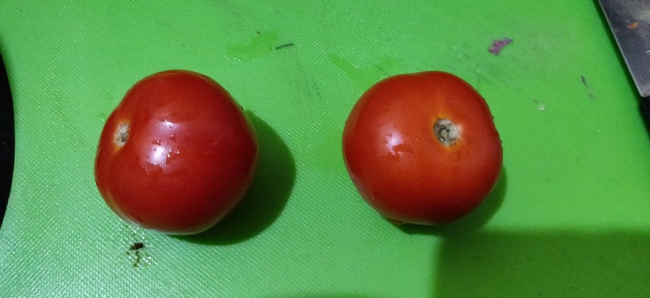 tomato_rasam - 51466847_1255792714558688_6466494634779475968_n.jpg