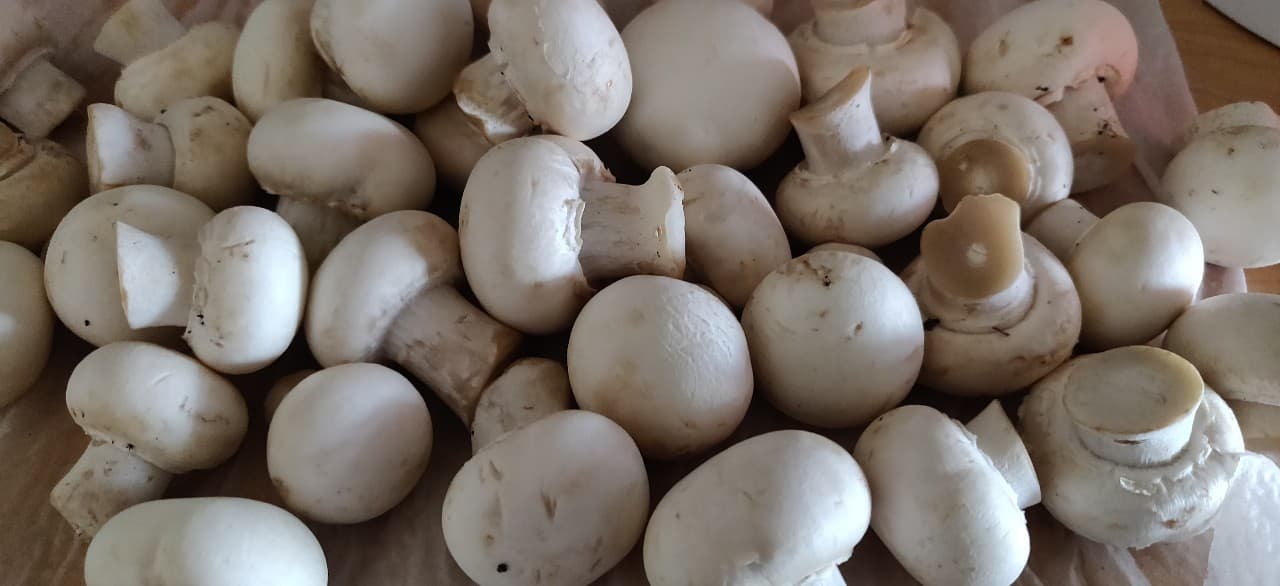 mushroom_manchurian - 56578090_311151152901478_148688924519170048_n.jpg