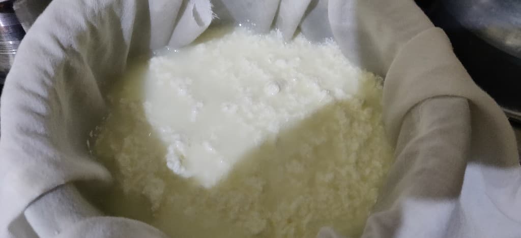 rasgulla - 62259798_453069205469281_656832174665760768_n.jpg