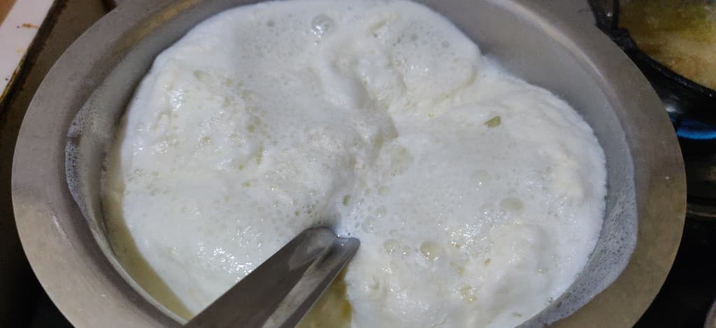 rasgulla - 62356026_2451068228512958_7679468333464289280_n.jpg