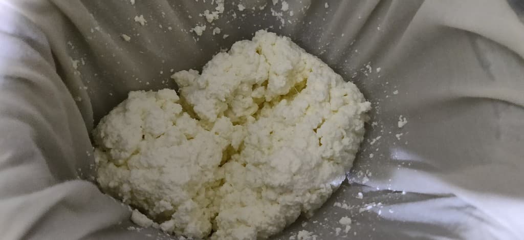 rasgulla - 62374863_677927655992060_5005443861300903936_n.jpg