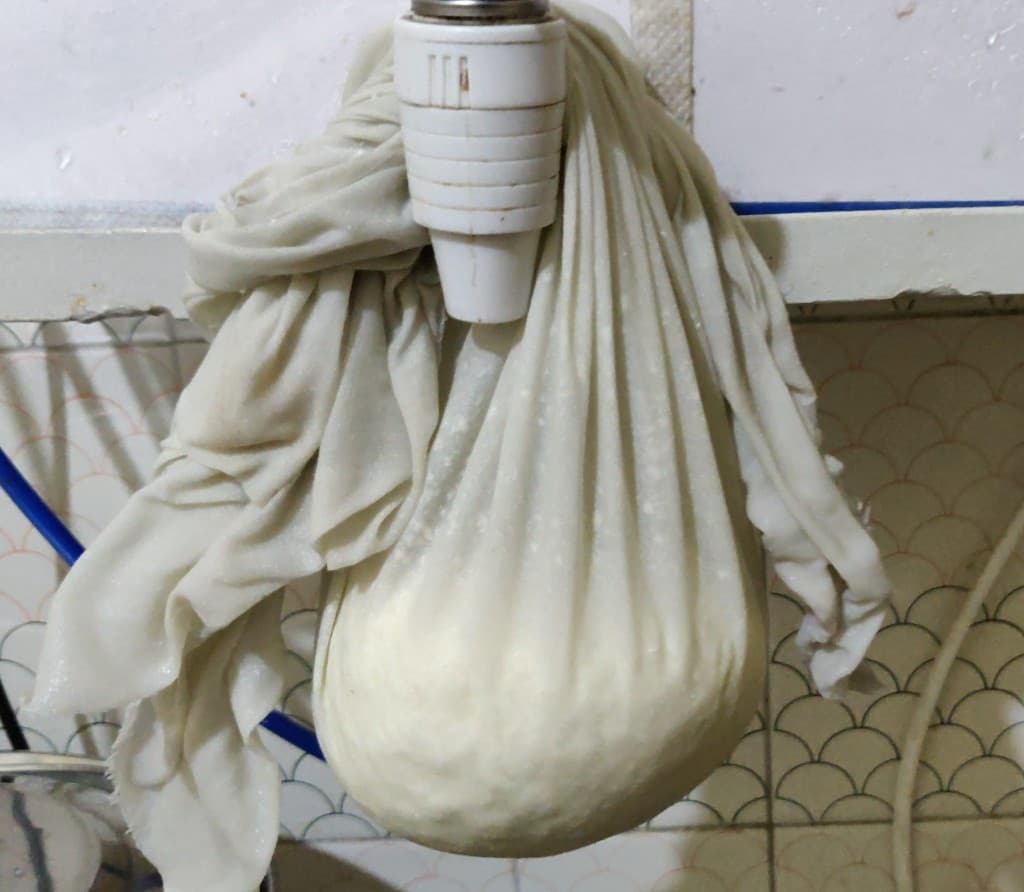 rasgulla - 64498888_1230131883840295_1682687355288289280_n.jpg