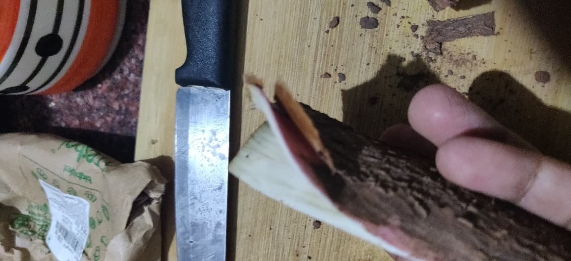 Tempered_Tapioca - 69725389_2072871736341466_1390455439711272960_n