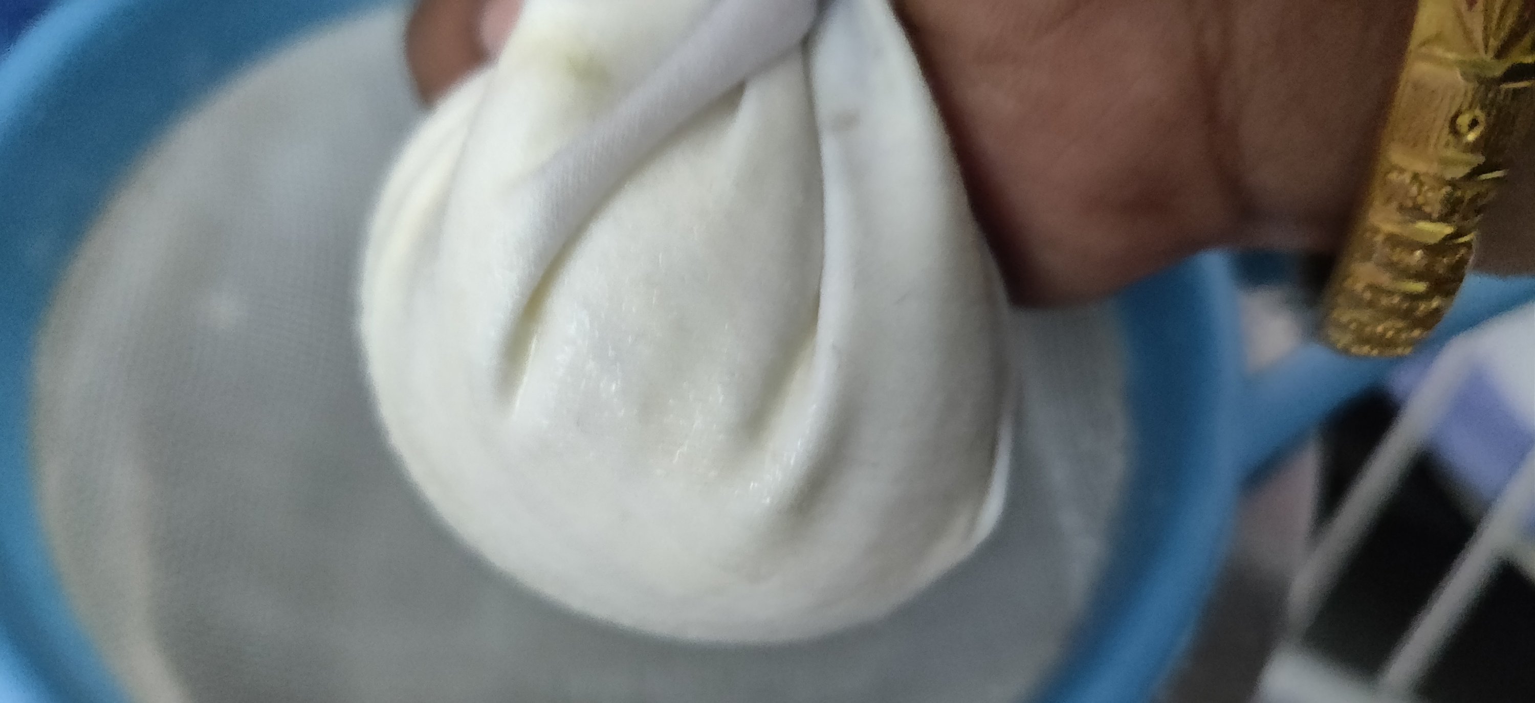 Garlic onion yogurt dip _dipping curd