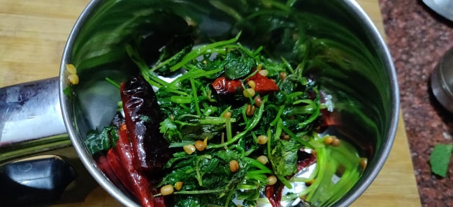 mint_coriander_thogayal - 91788460_542666536674712_5015640633352650752_n