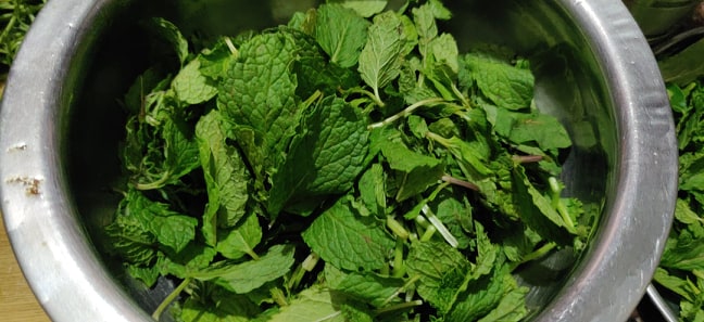 mint_coriander_thogayal - 92342947_697288657709457_3469152867183493120_n