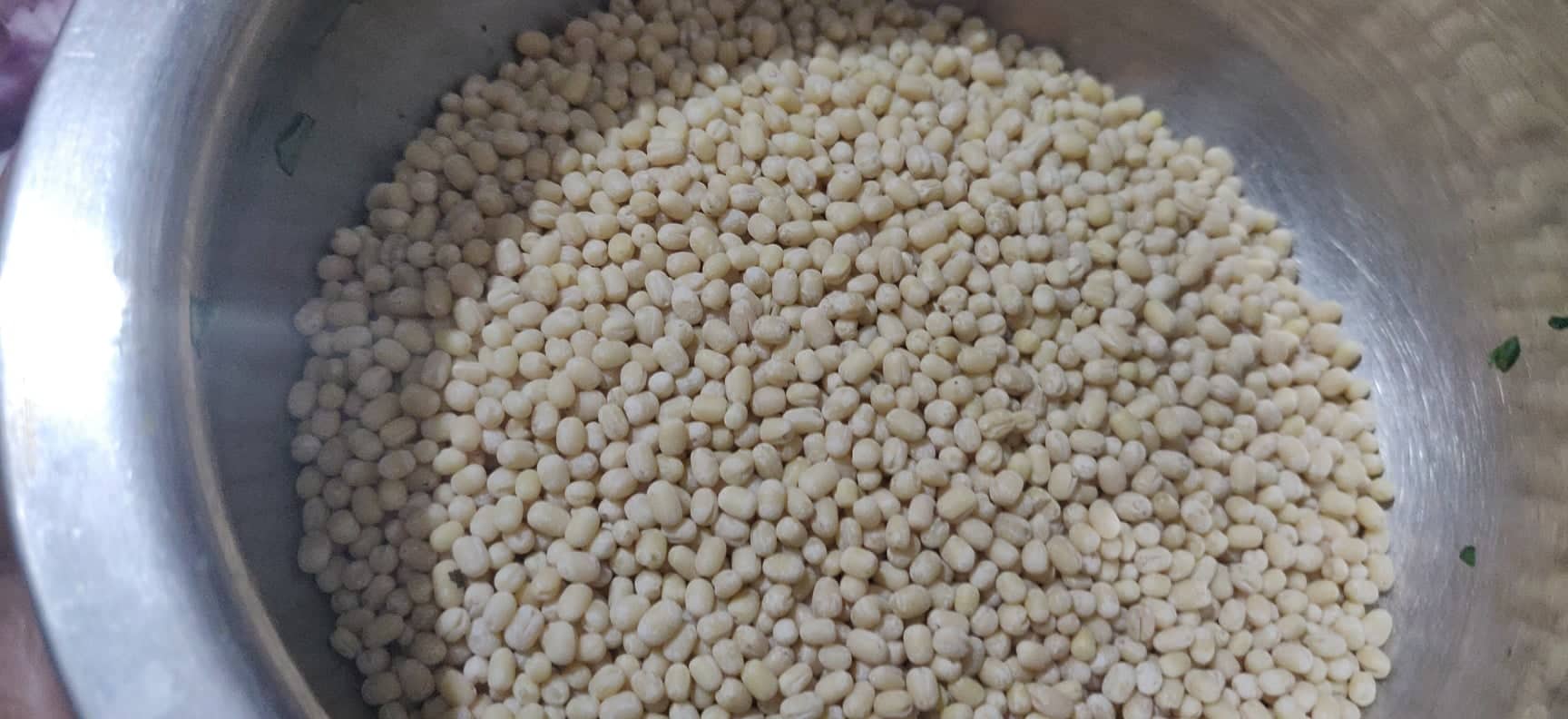 Medu_Vada - 118237679_2809434869158203_2473626526510705410_n