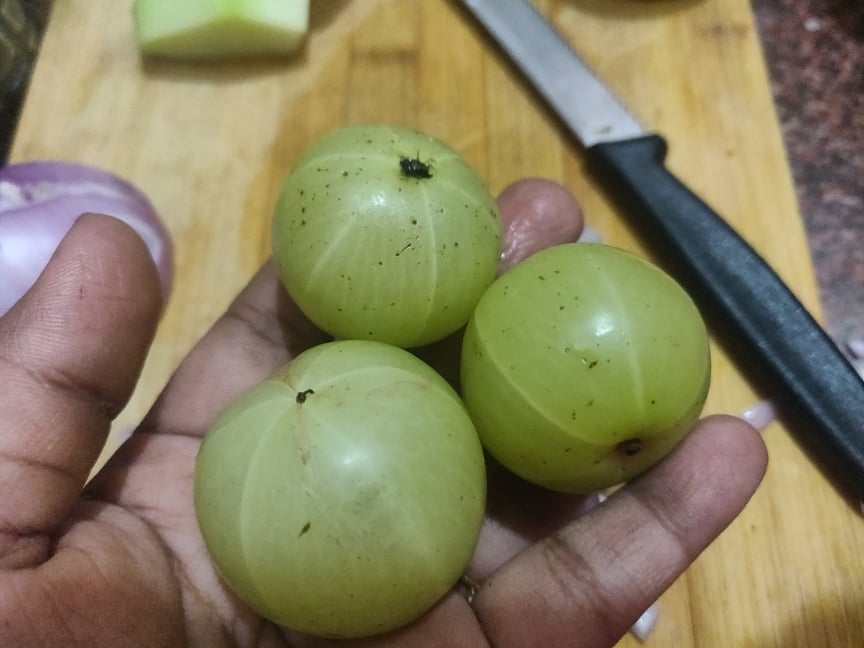 Nellikai_rasam - 118992718_349081039605047_397648006674765052_n