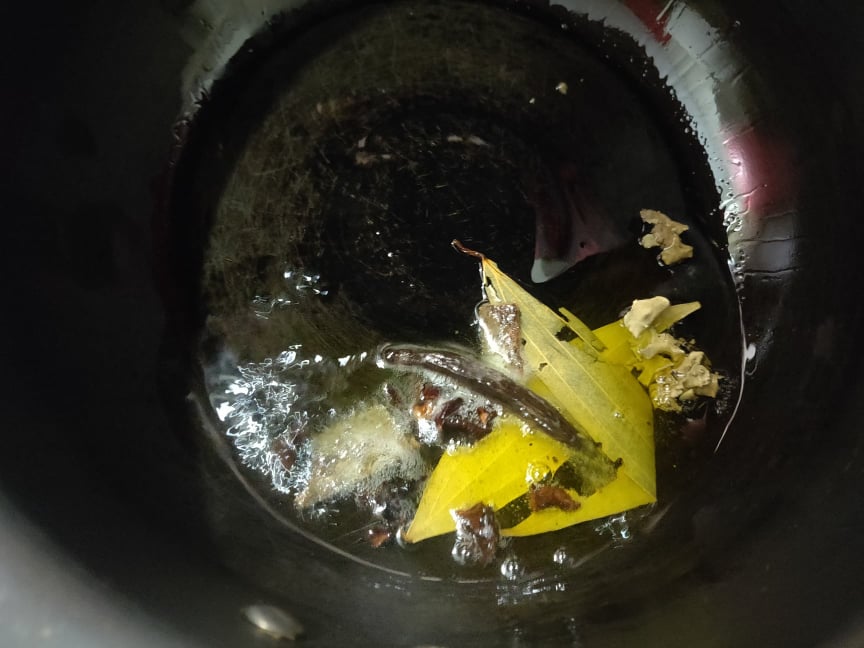 chettinad_mutton_biryani - 119992571_3482246525159887_995754071605297257_n