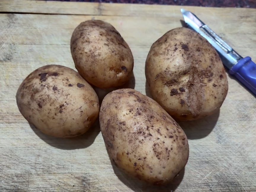 coin_potato_fry - 187136433_528766198487249_977742073617515095_n