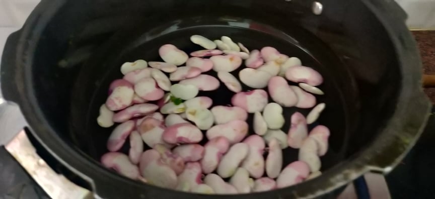 double_beans_masala - 271908972_628449918428257_5356155828853620647_n