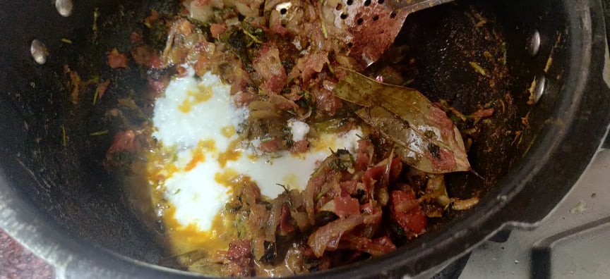 kuska - 271666687_991183758412347_4081571112030796923_n